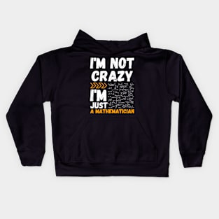 I'm not crazy, I'm just a mathematician Kids Hoodie